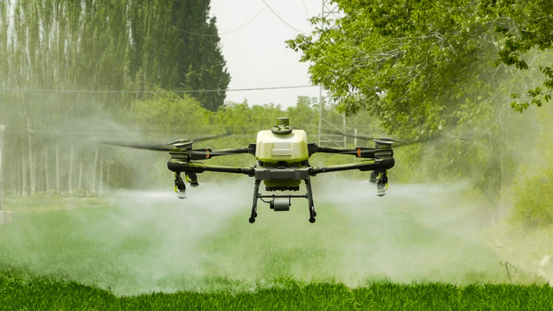 ΢Žͼ_20250214151610